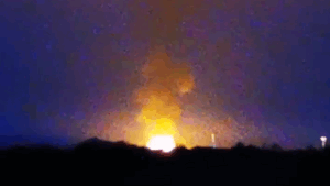 В Запорожской области ВСУ атаковали зоопарк