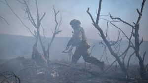 ВСУ потеряли до 200 военных в зоне действий «Юга»