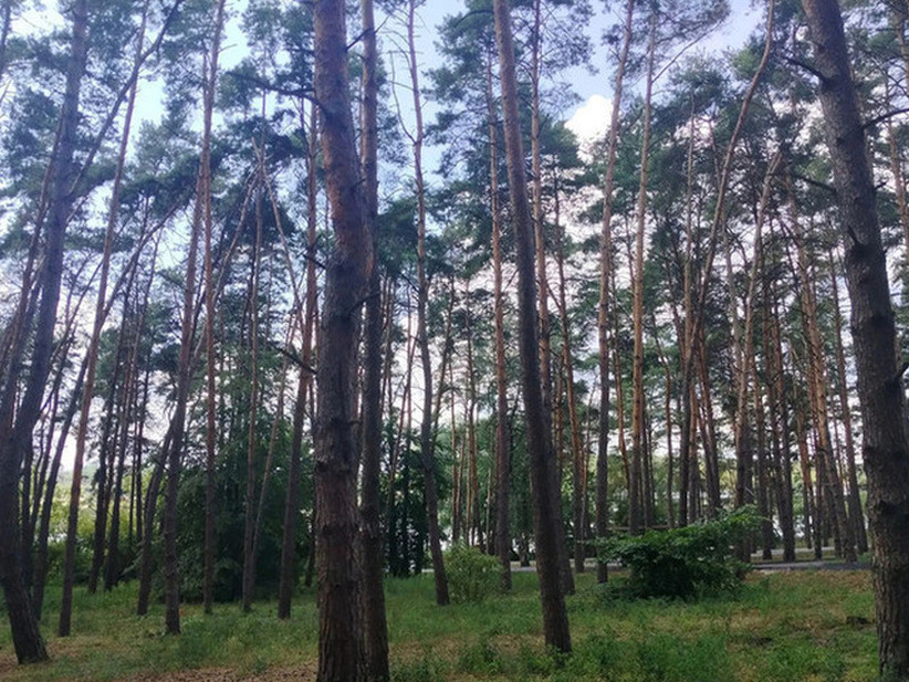 Белгородская область в рамках акции «Останови огонь!»: новые правила поведения на природе